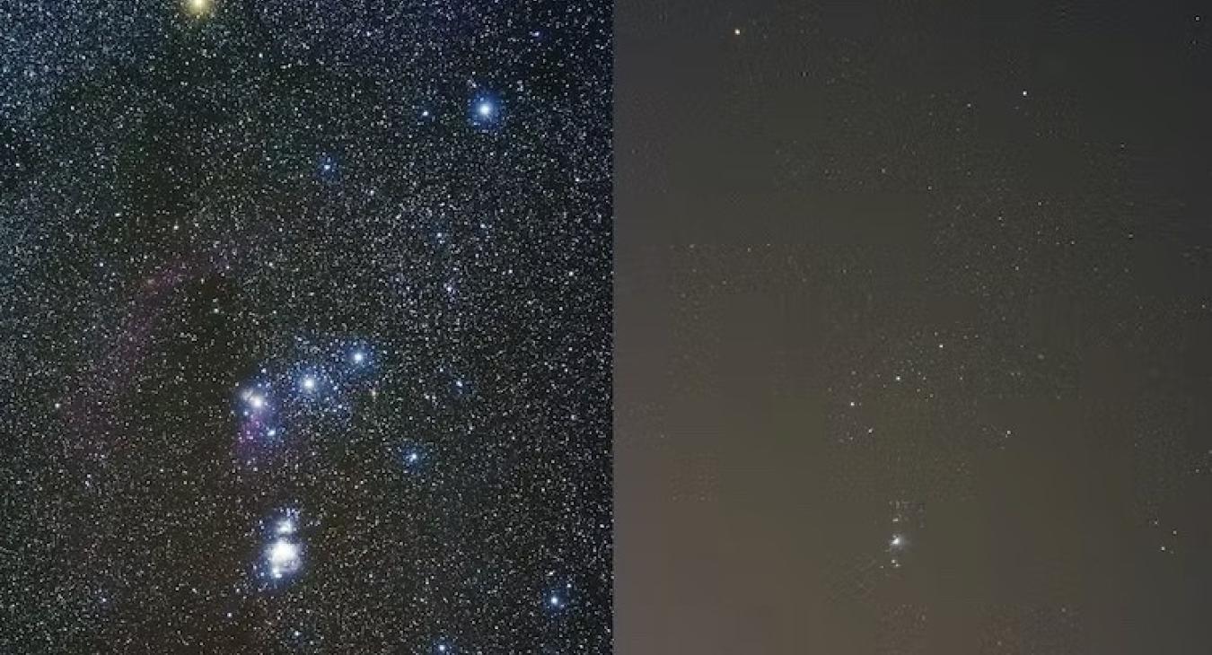 Orion